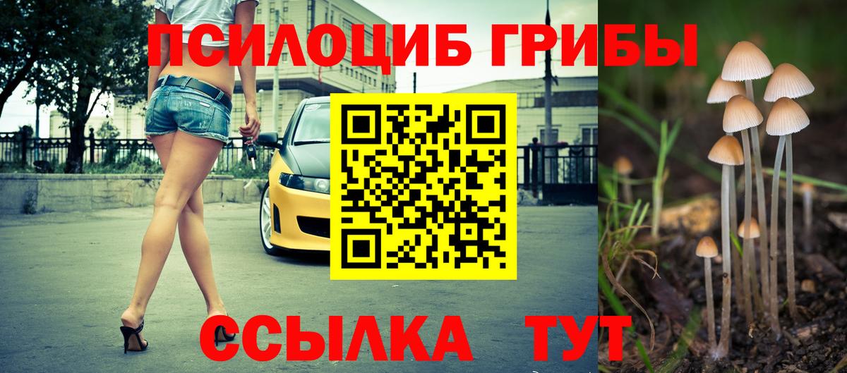 Приморско-Ахтарск  Псилоцибиновые грибы Magic Shrooms  Вход с VPN 